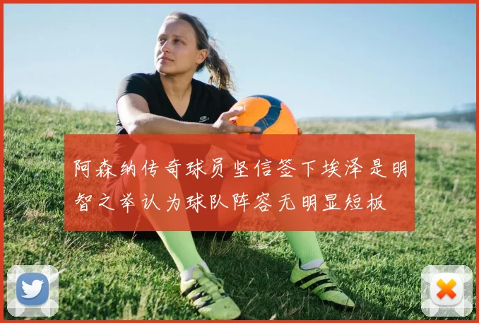 阿森纳传奇球员坚信签下埃泽是明智之举认为球队阵容无明显短板